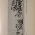Auguste Brouet